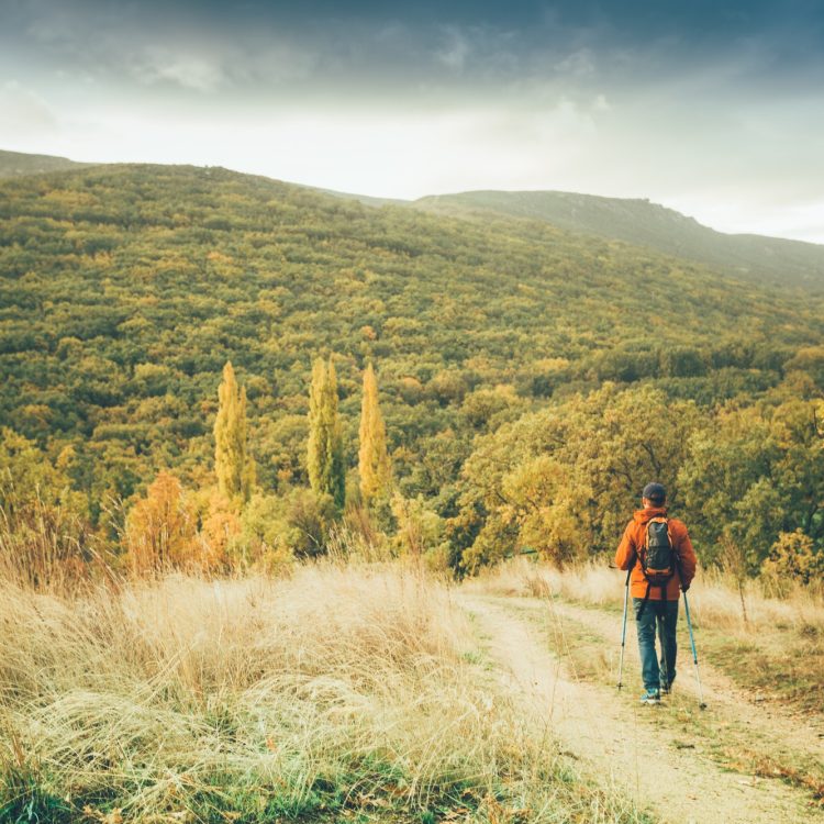 Hiker man on a trail